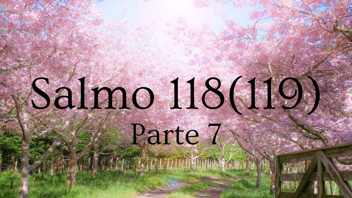 Salmo 118 (119) - parte 7