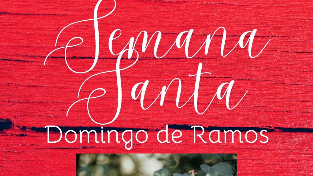 Domingo de Ramos - Parte 2