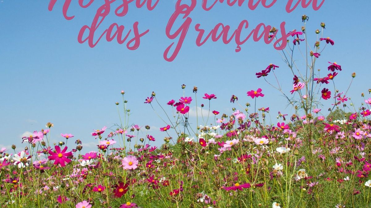 Oração de Nossa Senhora das Graças